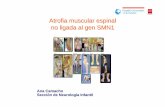 Atrofia muscular espinal no ligada al gen SMN1gustavolorenzo.es/conferencias/enfer/2016/m7c1.pdf · 2016. 10. 23. · – tronco cerebral Atrofia muscular espinal (Hoffmann, 1893;