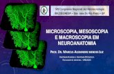 Microscopia, mesoscopia e macroscopia em neuroanatomia · microscopia, mesoscopia e macroscopia em neuroanatomia prof.dr.marcus alexandre mendes luz anatomia humana e anatomia patolÓgica
