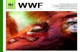 Ilmastonmuutos sysää kaskelotteja kalastajien apajille ... · WWF:n suojeluasiantuntija Matti Ovas-ka sanoo, että tutkimukset osoittavat oji-tuksen ja turvetuotannon heikentävän