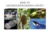 BAB VII KEANEKARAGAMAN HAYATI · Keanekaragaman ekosistem Contoh: a. Ekosistem sungai b. Ekosistem terumbu karang c. Ekosistem hutan. Spesies endemik Contoh: a. Macaca pignensis b.
