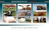 RINDERZUCHT AUSTRIA - ZAR465ed865-bfa4-4b7d-9d4f...u krizˇanju kod drzˇanja goveda u sustavu kravatele i proizvodnji mesa, a i koristan u krizˇanju kod proizvodnje mlijeka. Prilagod¯ava