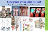 Semiologia Ortopédica Pericial · 2012. 1. 17. · 2- FISIOPATOLOGIA DA DOR AMERT / DORT • Nos pacientes com LER / DORT , como a condição dolorosa é intensa ou prolongada, estímulos
