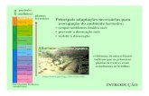 plantas terrestres Principais adaptações necessárias para ... · período (milhões) plantas terrestres Siluriano – ambiente aquático Principais adaptações necessárias para