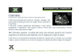 Il Germanio - FGXPRESS ITALIAfgxpress-italia.weebly.com/uploads/1/1/3/3/11331578/fgx... · 2018. 9. 7. · FG XPRESS Gauche -12% Droite FG PRESS FG PRESS FG XPRESS Gauche Droite P