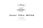 Into the wild - MYmovies.it · 2018. 1. 9. · Tratto dal libro “Nelle terre estreme” di Jon Krakauer, pubblicato in Italia da Corbaccio . 3 INTO THE WILD Vi è un incanto nei