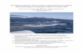 Investigación preliminar sobre la ecología y comportamiento de … · 2020. 11. 15. · Investigación preliminar sobre la ecología y comportamiento de las ballenas azules (Balaenoptera