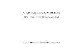 VARIABLE COMPLEJAmarcmmw.freeshell.org/hekate/download/Suay-Variable... · 2020. 6. 15. · Variable Compleja (I) Operaciones elementales y propiedades Formas de representar a un