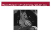 Hauptrichtung der ventrikulären Erregungsausbreitung€¦ · Standard 12-Kanal-EKG. 12-Kanal-EKG 9 Elektroden, 12 Ableitungen. EKG und Herzregion . Polarität der Ableitungen Dower