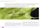 Importance et distribution du nouveau biotype Nr:1 du …...Santoro (Rijk Zwaan) Laitue pommée verte Nr:0 Tableau 1 | Cultivars de laitue utilisées dans les biotests pour la dé-termination