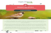 Oiseaux des jardins · 2020. 6. 12. · Oiseaux des jardins Fiche de détermination Cette clé de détermination est conçue pour reconnaître les oiseaux adultes du programme «