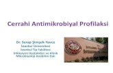 Cerrahi Antimikrobiyal Profilaksi · 2016. 11. 24. · Cerrahi Alan İnfeksiyonlarının Engellenmesinde Temel Önlemler 1. Rehberlerle uygun antimikrobiyal profilaksi uygulanması