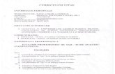 Nanu.membru.CD - FRSahfrsah.ro/2013/candidaturi/CV.Nanu.candidat.membru.CD.pdf · Norma de Mare Maestru realizata la Campionatul European Budva Muntenegru; ... Castigator al Open