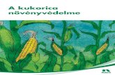 A kukorica növényvédelme - AGRO NAPLÓ · 2020. 1. 8. · 4,0-6,0 l/ha (évelô gyo mok ellen) vagy Amega Új, két hatóanyagot tartalmazó totális hatású gyomirtó szer. A