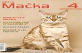 Bengal catbengalcat.sk/download/Moja_macka.pdf · ca sop is pre milovníkov ma cie k 4 ... bolest a jej terapia . 12 arvven adikia*cz - mohutnÁ bengÁlska macka v odtieni seal mink