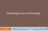Osteologie pro archeology - Masaryk University · 2011. 3. 30. · 2: kaudální konec, jáma obratle (extremitas caudalis, fossa vertebrae) 3: ventrální hřeben, ventrální hrbol