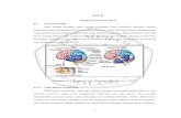 BAB II TINJAUAN PUSTAKA 2.1 Anatomi Otakeprints.umm.ac.id/61070/3/BAB II.pdf · 2.1 Anatomi Otak Otak adalah jaringan yang sangat kompleks yang memiliki miliaran neuron yang berfungsi