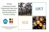 Strategi Penanaman Kembali (Replanting) Kelapa Sawit SAWIT ...repository.lppm.unila.ac.id/17088/1/Semnas Sawit 061119_Dian.pdf · sawit di Provinsi Lampung memiliki masalah yang dapat