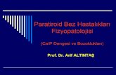 Paratiroid Bez Hastalıkları Fizyopatolojisiacikders.ankara.edu.tr/pluginfile.php/1047/mod_resource/content/1/8. Paratiroid...8.1.2013 2 Paratiroid Bezler Paratiroid bezleri bir çok