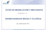 BIOMECHANICKÉ MODELY ČLOV ĚKA - zcu.cz · • Jednoduchý 1D model • 2D model v časov é oblasti • Komplexn í 3D model • Aktivn í modely • Deformovateln é modely •