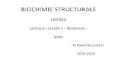 LIPIDES - EST FES · 2020. 3. 19. · biochimie structurale lipides module : chimie ii –biochimie i agb1 pr rabia bouslamti 2019-2020
