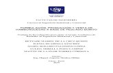 FORMULACIÓN, PRODUCCIÓN Y VENTA DE HAMBURGUESAS A BASE DE …repositorio.usil.edu.pe/bitstream/USIL/9545/3/2019_De-La... · 2019. 11. 27. · Flujo de caja proyectado ... Ilustración