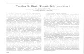 Periferik Sinir Tuzak Nöropatileri - Dergisinorosirurji.dergisi.org/pdf/pdf_TND_513.pdf · 2007. 4. 19. · Tiirk Nörosiriirji Dergisi, 2005, Cilt: 15, Sayi: 3, 206-219 Periferik