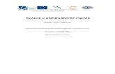 REAKCE V ANORGANICKÉ CHEMII práce č2.pdf · Anotace: laboratorní práce z anorganické chemie, realizace pracovních činností ve dvojicích navazující na výklad o typech