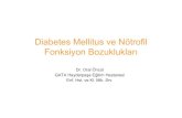 Diabetes Mellitus ve Nötrofil Fonksiyon Bozuklukları · 2011. 8. 12. · Migrasyon Kapasitesi • Keton cisimlerinde art ... experiments (9 to 12 animals in each group). *P < 0.001