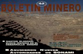 Chile - ,w, 7...Canut de Bon L., Magister rectiva, el Directorio y el explotación a rajo abierto '80s, el sector minero chile-en Derecho Minero, nos Secretario General de la de aproximadamente