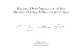 Recent Developments of the Morita-Baylis-Hillman Reactionfranklin.chem.colostate.edu/emferr/Ferreira_Research...Recent Developments of the Morita-Baylis-Hillman Reaction Erin Stache