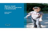 Børn med cerebral parese i Danmark - SDU...9 Resume og konklusion Nærværende rapport beskriver livet for 8-12-årige børn med cerebral parese i Danmark. Rapporten er målrettet