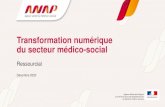Transformation numérique du secteur médico-social...Sommaire 2 Pourquoi le numérique dans le médico-social ? Les convictions Questions des directeurs de structure : Les besoins