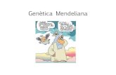 Genètica Mendeliana...Gregor Johann Mendel Gregor Johann Mendel està considerat el pare de la genètica moderna. A partir dels seus experiments va desenvolupar una teoria de l’herència