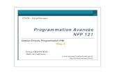 Gestion Erreurs, Programmation IHMerwan.tranvouez.free.fr/cours/Chap2-NFP-121-2007.pdfPlan du cours 1. Suite base de programmation en Java Exceptions et gestion des flux … Assertions