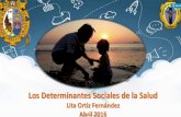 Presentación de PowerPoint · 2019. 9. 25. · Organiza conocimientos con mapas conceptuales y análisis critico. Lita Ortiz Fernandez Principales determinantes sociales y sus efectos