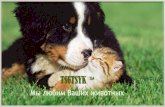 TSUTSYK...орговая марка «TSUTSYK» - это линейка эффективных, натуральных и безопасных средств ухода за животными