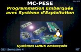 Programmation Embarquأ©e avec Systأ¨me d'Exploitation hebert/pese/fichiers/cours.pdf Systأ¨mes LINUX