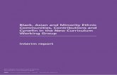 Black, Asian and Minority Ethnic Communities, Contributions ......Contents Ministerial foreword 2 Black, Asian and Minority Ethnic Communities, Contributions and Cynefin in the New