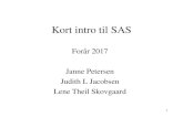 Kort intro til SASpublicifsv.sund.ku.dk/~lts/basal/overheads/sas-slides.pdf · 2017. 1. 24. · 1 Kort intro til SAS Forår 2017 Janne Petersen Judith L Jacobsen Lene Theil Skovgaard