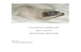 TALLINNA LOOMAAIA 2011. AASTA TEGEVUSE ARUANNE · maastikumäng loomaaias, osales 154 last koos saatjatega. 29. septembril viidi läbi loomasõprade ringide avaaktus. 4. oktoobril