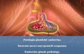 Patologia glandelor endocrine - USMF · • Atrofia suprarenalelor în boala Addison. •• Suprarenale normale. •••Adenom de suprarenale în sindromul Cushing. Tuberculoza