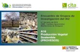 A16 Producción Vegetal Sostenible (PROVESOS) · 2017. 2. 11. · A16 - Producción Vegetal Sostenible I. Líneas de Investigación OBJETIVO GENERAL Sistemas de producción vegetal
