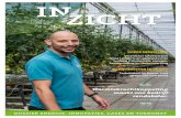 InZicht - Cover Magazine · InZicht - Cover Magazine Author: Provincie Antwerpen Subject: Jaargang 1 - nr. 1 Keywords: Economie, provincie Antwerpen, restwarmte, duurzame energie,