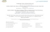 THESE EN COTUTELLE · 2019. 3. 15. · DIPLOME DE DOCTORAT DE L'INSTITUT NATIONAL AGRONOMIQUE DE TUNISIE Discipline : Sciences agronomiques Spécialité : Génie Rural, Eaux et Forêts