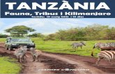 TANZÀNIAviatgesconcord.com/wp-content/uploads/2019/11/TANZANIA-19-05-… · Aquesta meravellosa proposta de safari inclou els llocs més destacats de Tanzània així com la riquesa