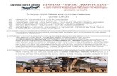 TANZANIE ‘’ SAFARI ‘ASHANTE SANA’’...TANZANIE ‘’ SAFARI ‘ASHANTE SANA’’ Avec le parc national de Tarangire, du Lake Manyara, le parc national de Serengeti et le
