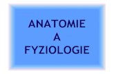 ANATOMIE A FYZIOLOGIE - potapeniuo.cz P1/P1 T04... · Anatomie se zabývá jejich stavbou a uspořádáním. Fyziologie se věnuje vzájemnému sladění činnosti orgánů, projevující