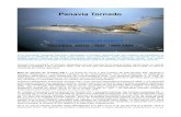 Panavia Tornado - Freerichard.ferriere.free.fr/bleneau/tornado2/tornado2.pdf · 2015. 7. 16. · Panavia Tornado par Jean-Louis BLENEAU Deuxième partie : RAF 1980-1991 Si le consortium