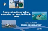 Agence des Aires marines protégées en Manche Mer du Nord · constitué essentiellement d’AMP d’assez grandes tailles mais peu d’AMP à protection forte : - 1 PNM et projet