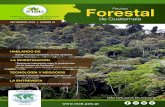 Revista Forestal de Guatemalaportal.inab.gob.gt/images/revista_forestal/Revista... · 2019. 11. 26. · OPINIÓN Revista For de Guatemala 4 -INAB- E l Pino Candelillo (Pinus maximinoi